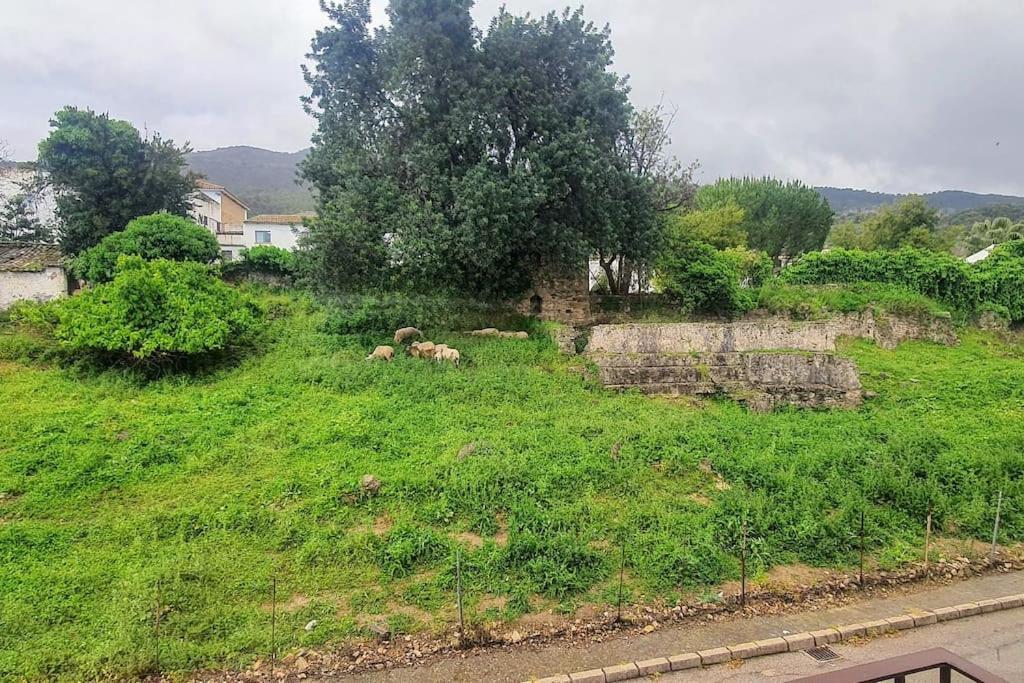 La Terracita Del Bosque Appartamento