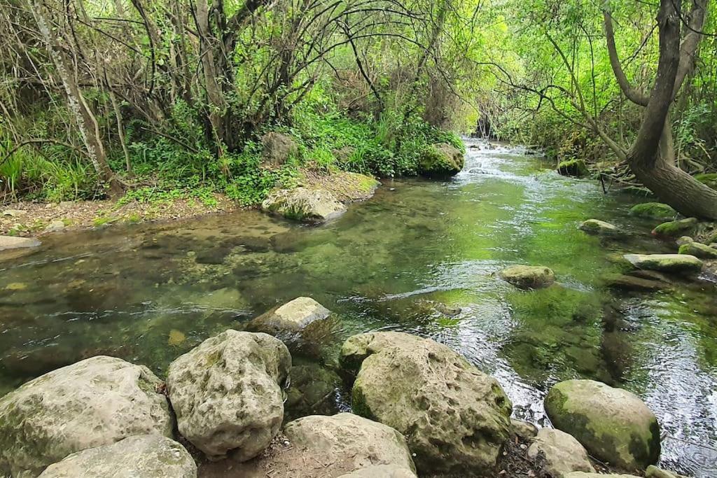 La Terracita Del Bosque * El Bosque